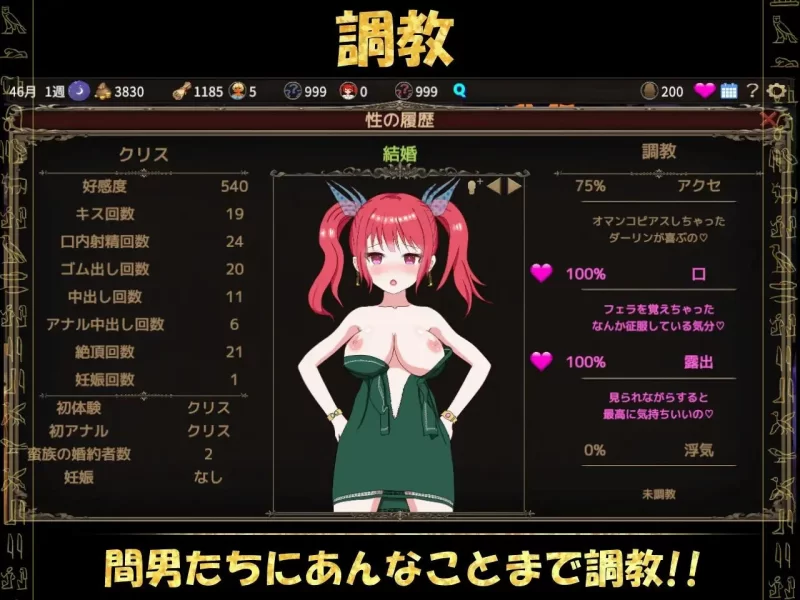 [RPG/官方中文] 蛮族的征服-被强娶豪夺的村庄 官中汉化(蛮族的侵略)[824 MB][FM直连/转度盘]